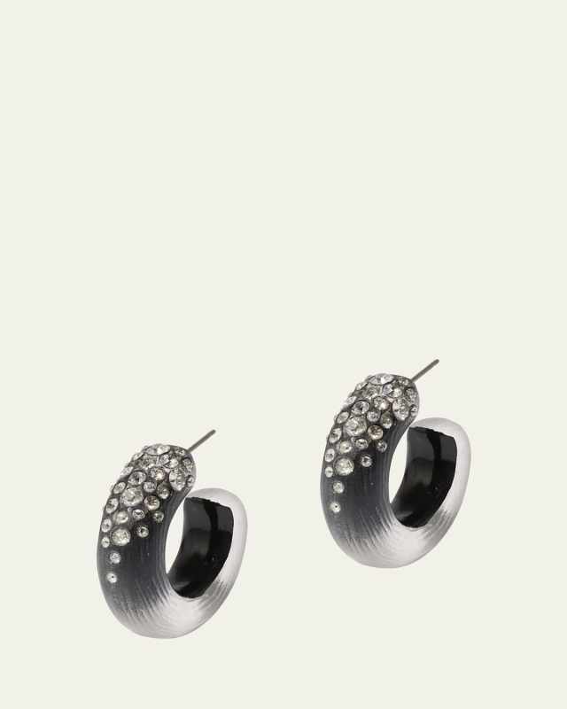 Lucite Crystal Hoop Earrings